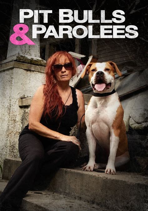 watch pit bulls and parolees online free.